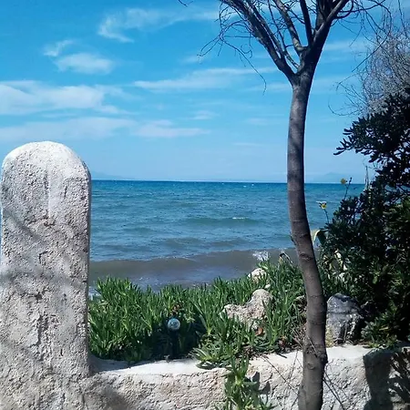 Summer House On The Sandy Beach *